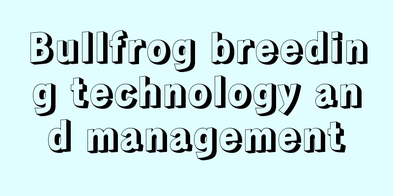 Bullfrog breeding technology and management