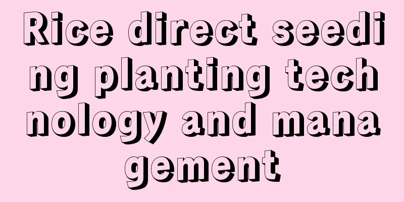 Rice direct seeding planting technology and management