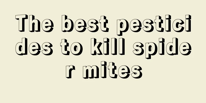 The best pesticides to kill spider mites