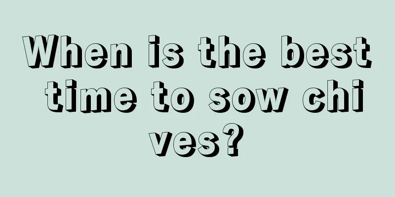 When is the best time to sow chives?