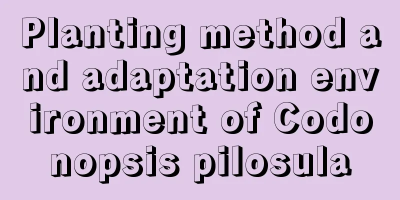 Planting method and adaptation environment of Codonopsis pilosula