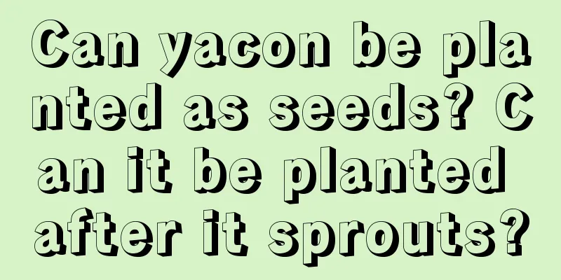 Can yacon be planted as seeds? Can it be planted after it sprouts?