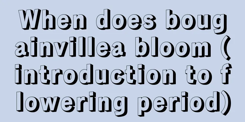 When does bougainvillea bloom (introduction to flowering period)