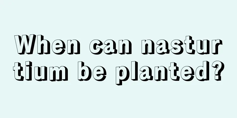 When can nasturtium be planted?