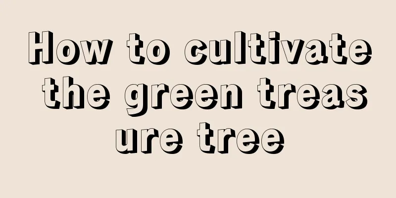 How to cultivate the green treasure tree