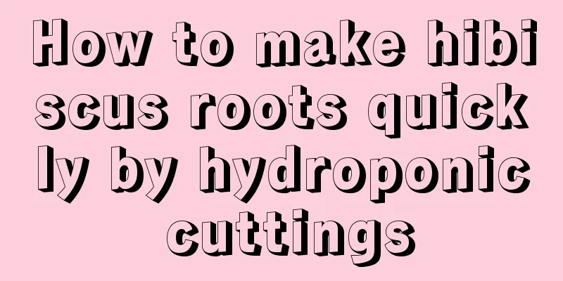 How to make hibiscus roots quickly by hydroponic cuttings