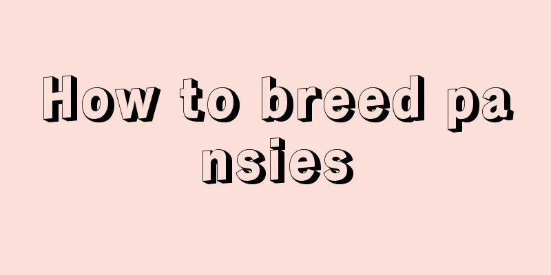 How to breed pansies