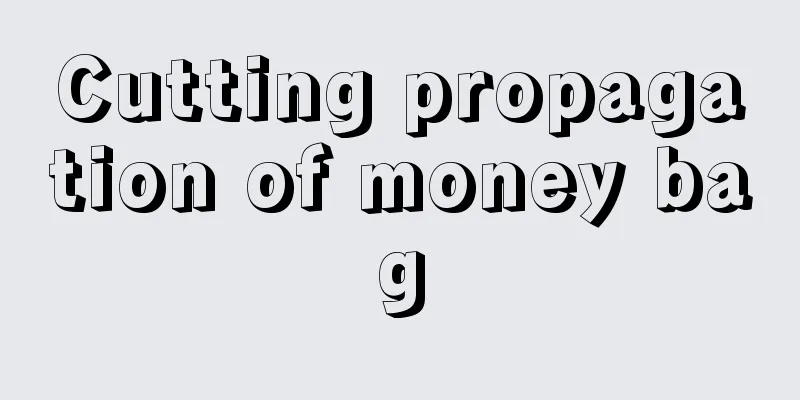 Cutting propagation of money bag