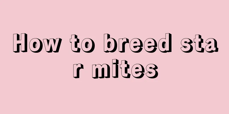 How to breed star mites
