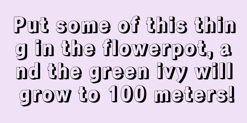 Put some of this thing in the flowerpot, and the green ivy will grow to 100 meters!