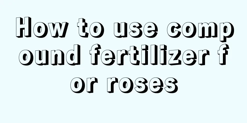 How to use compound fertilizer for roses