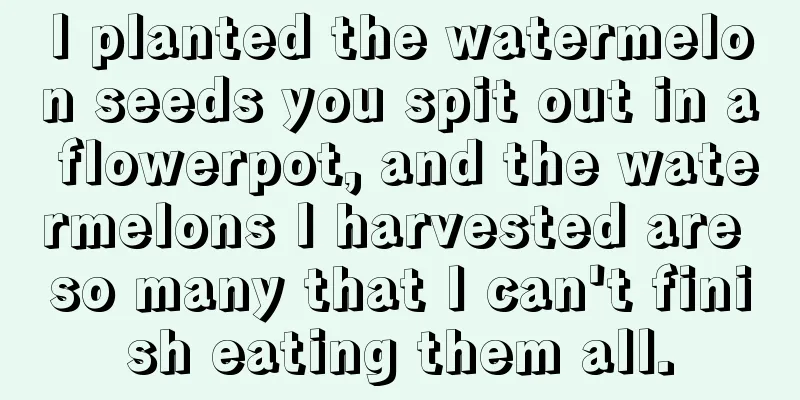 I planted the watermelon seeds you spit out in a flowerpot, and the watermelons I harvested are so many that I can't finish eating them all.