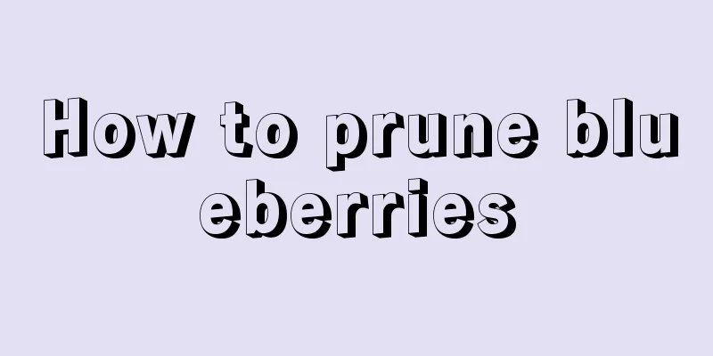 How to prune blueberries