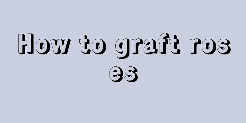 How to graft roses