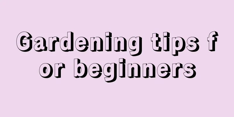 Gardening tips for beginners
