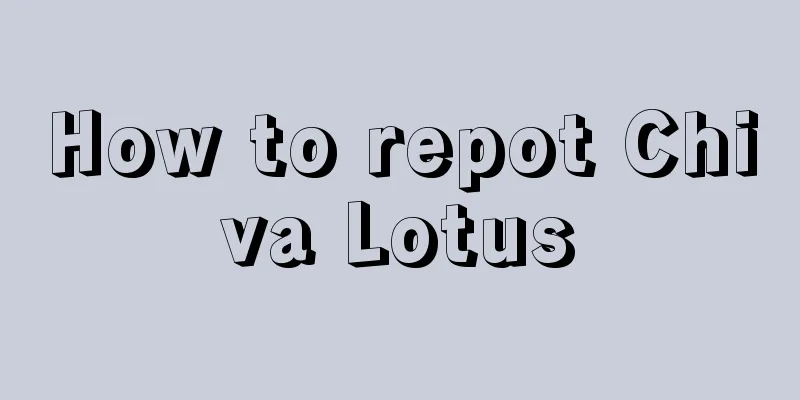 How to repot Chiva Lotus