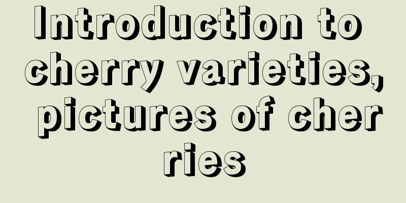 Introduction to cherry varieties, pictures of cherries