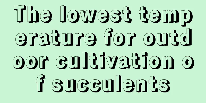 The lowest temperature for outdoor cultivation of succulents