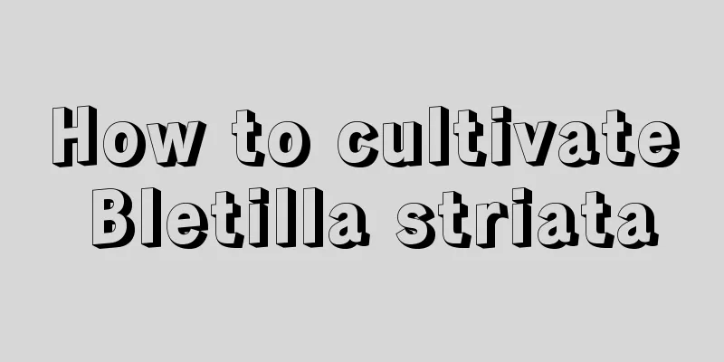 How to cultivate Bletilla striata