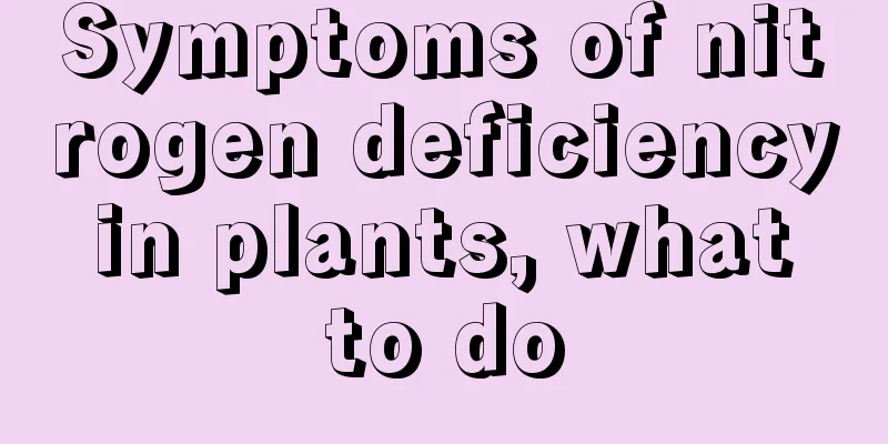 Symptoms of nitrogen deficiency in plants, what to do