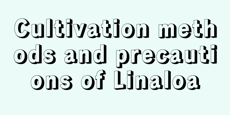 Cultivation methods and precautions of Linaloa