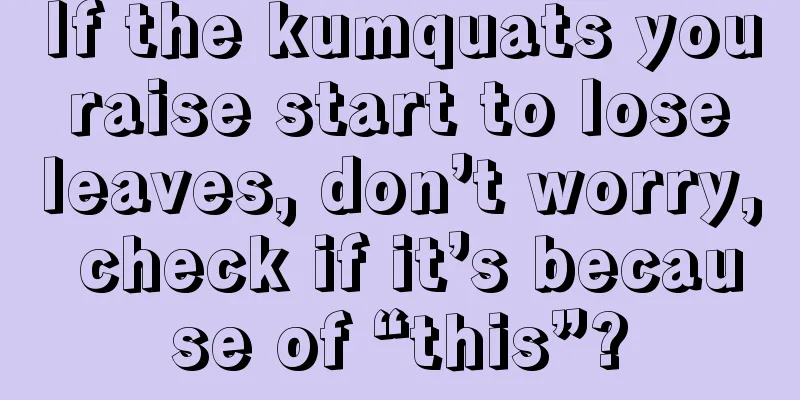 If the kumquats you raise start to lose leaves, don’t worry, check if it’s because of “this”?