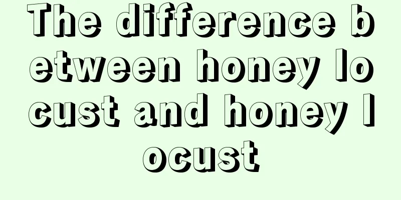 The difference between honey locust and honey locust