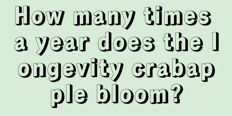 How many times a year does the longevity crabapple bloom?