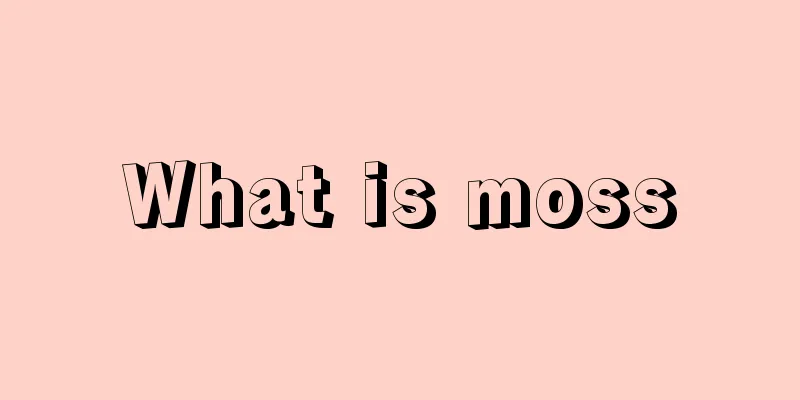 What is moss