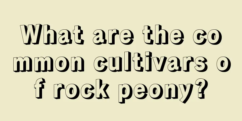 What are the common cultivars of rock peony?