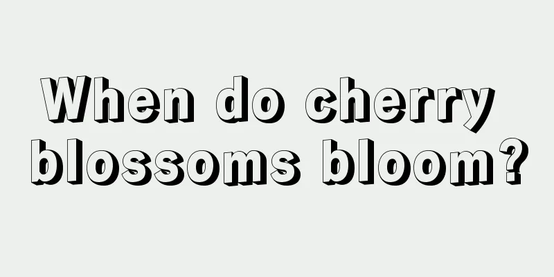 When do cherry blossoms bloom?