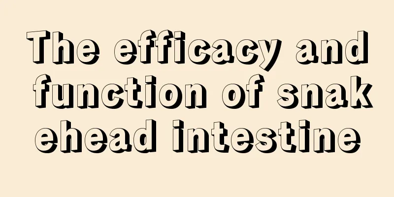 The efficacy and function of snakehead intestine