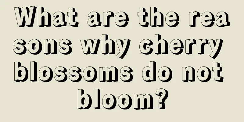 What are the reasons why cherry blossoms do not bloom?