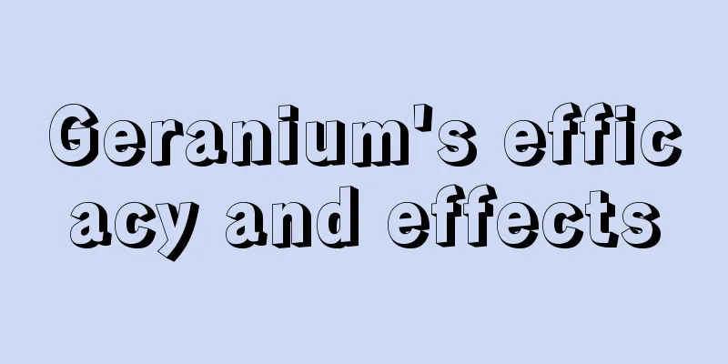 Geranium's efficacy and effects