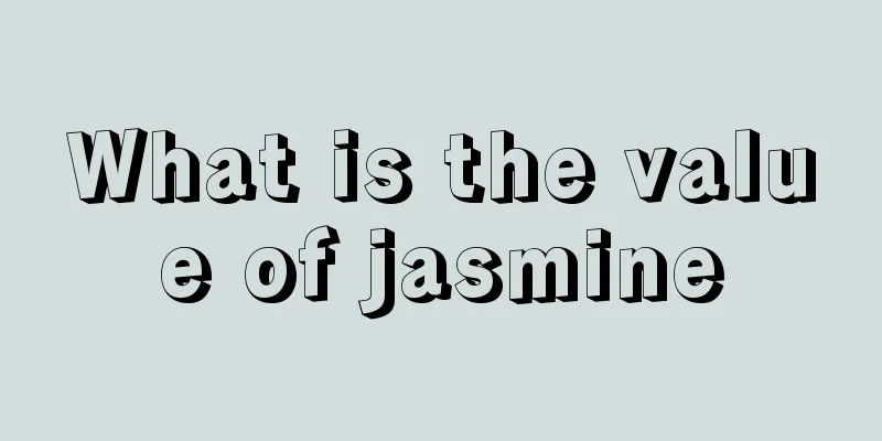 What is the value of jasmine