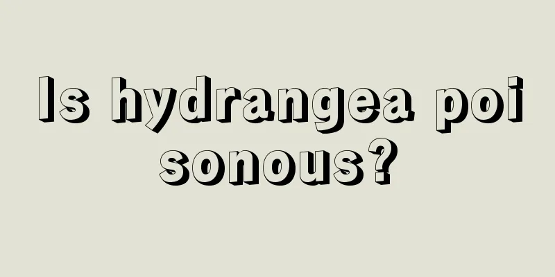 Is hydrangea poisonous?