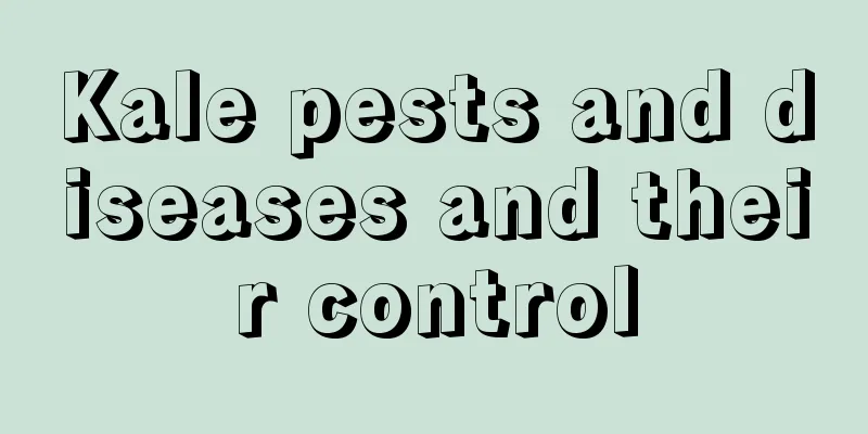 Kale pests and diseases and their control