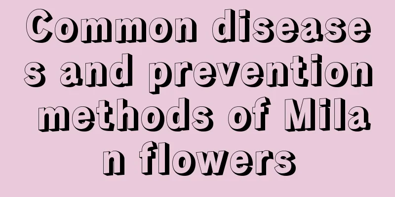 Common diseases and prevention methods of Milan flowers