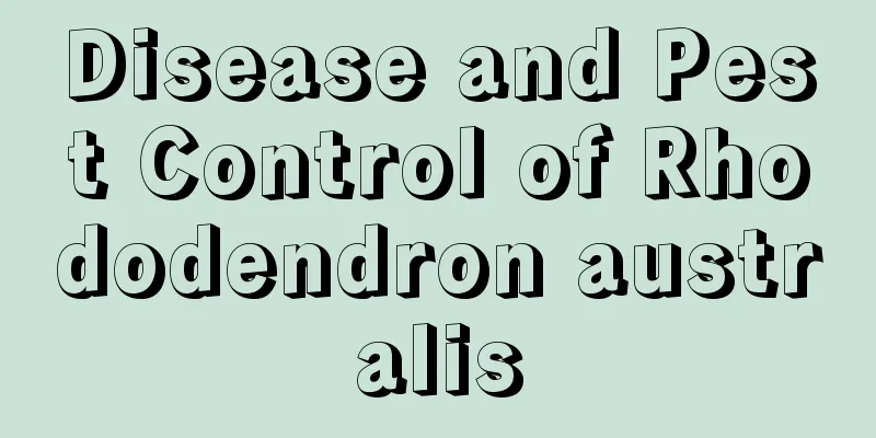 Disease and Pest Control of Rhododendron australis