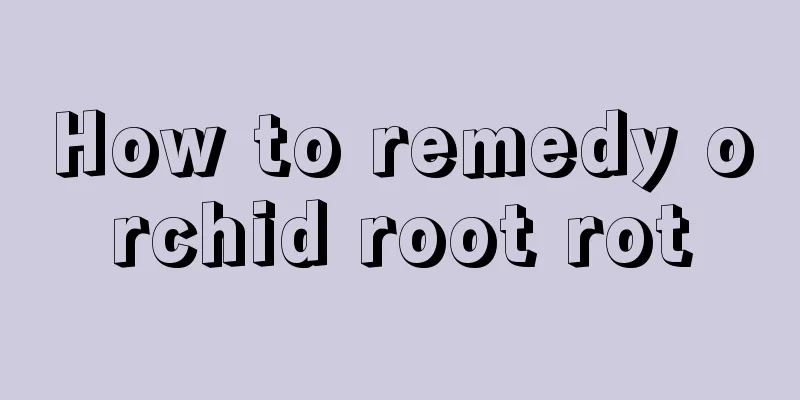 How to remedy orchid root rot