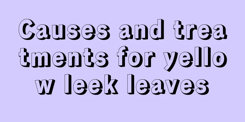 Causes and treatments for yellow leek leaves