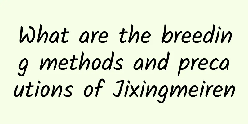 What are the breeding methods and precautions of Jixingmeiren