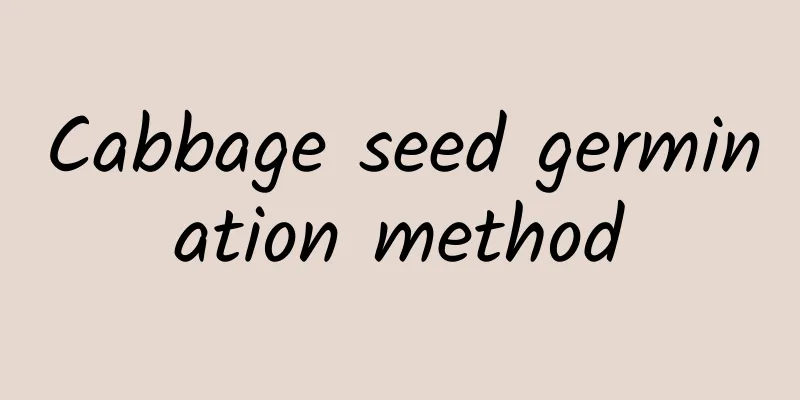Cabbage seed germination method