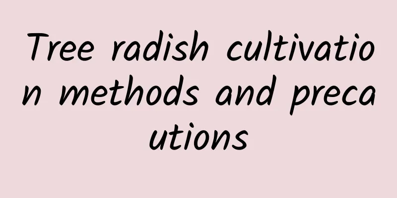 Tree radish cultivation methods and precautions