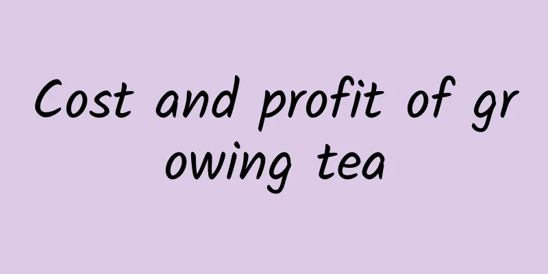 Cost and profit of growing tea
