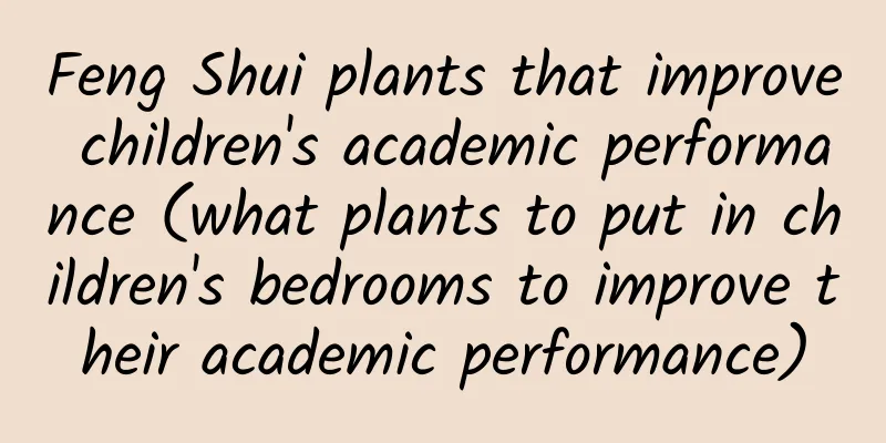 Feng Shui plants that improve children's academic performance (what plants to put in children's bedrooms to improve their academic performance)