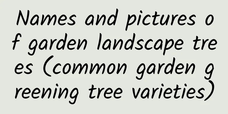 Names and pictures of garden landscape trees (common garden greening tree varieties)