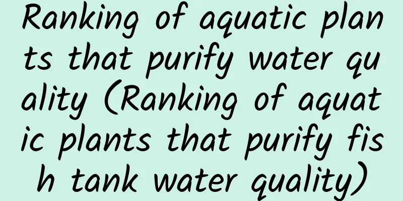 Ranking of aquatic plants that purify water quality (Ranking of aquatic plants that purify fish tank water quality)