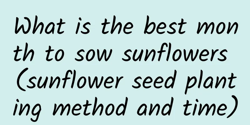 What is the best month to sow sunflowers (sunflower seed planting method and time)