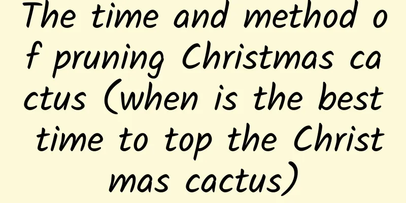 The time and method of pruning Christmas cactus (when is the best time to top the Christmas cactus)